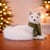 Kenneth Ludwig Chicago Plush Winter Fox Figurine with Scarf For Sale - Image 4 of 4