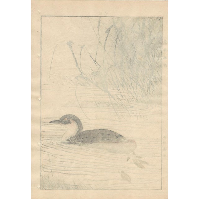 Imao Keinen, Little Grebe, 1892, Print For Sale - Image 10 of 13