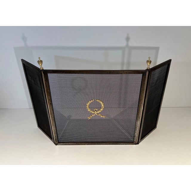 Fireplace Screen in Steel, Brass and Mesh in Neoclassical Style For Sale - Image 4 of 12