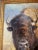 Original Jennifer Johnson Bison Painting, Framed For Sale In Miami - Image 6 of 12
