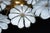 Murano White Flower Ceiling Lamps, Italy, 1980s, Set of 2 For Sale - Image 11 of 18