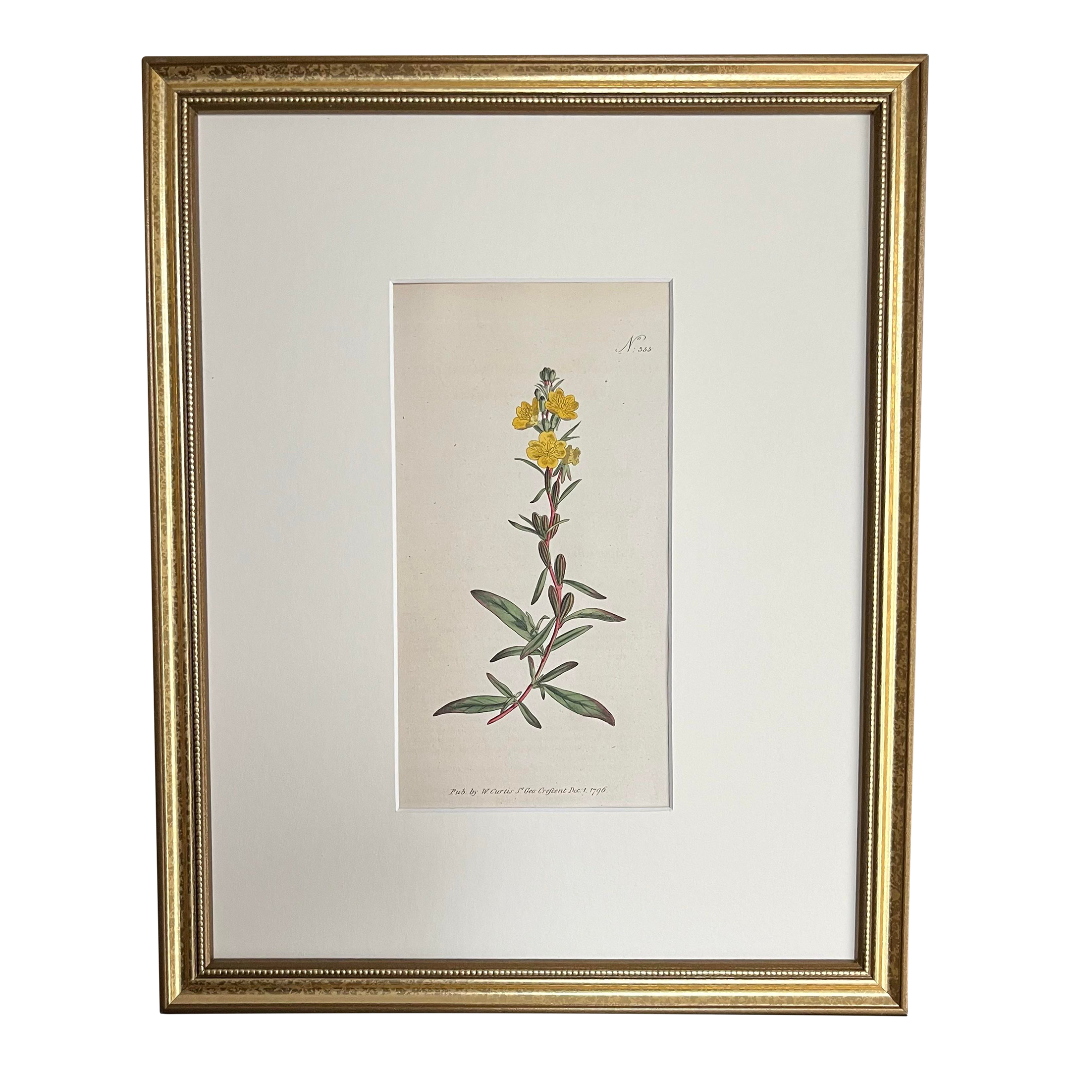 antique-original-hand-colored-