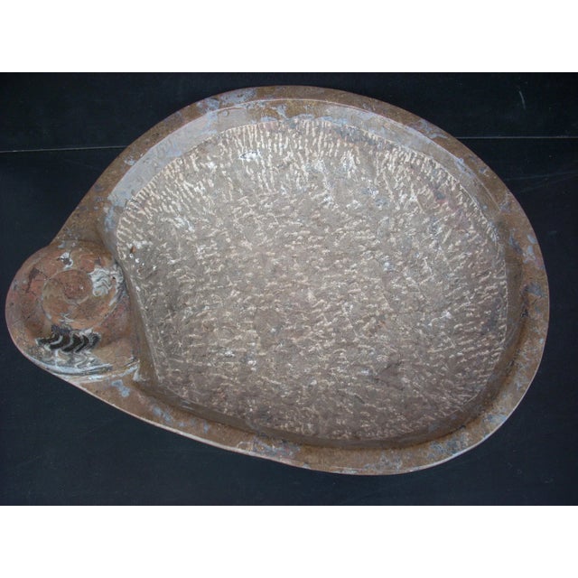 Contemporary Vintage Ammonite Fossil Bowl For Sale - Image 3 of 5