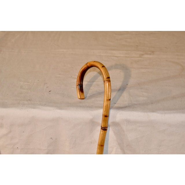 Wood Circa 1920 English Bamboo Walking Stick For Sale - Image 7 of 8