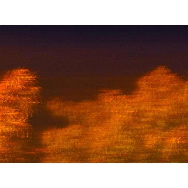 This large 40" x 30" abstract photographic print is by designer/artist/photographer Joseph Fountain, created in 2015.The...