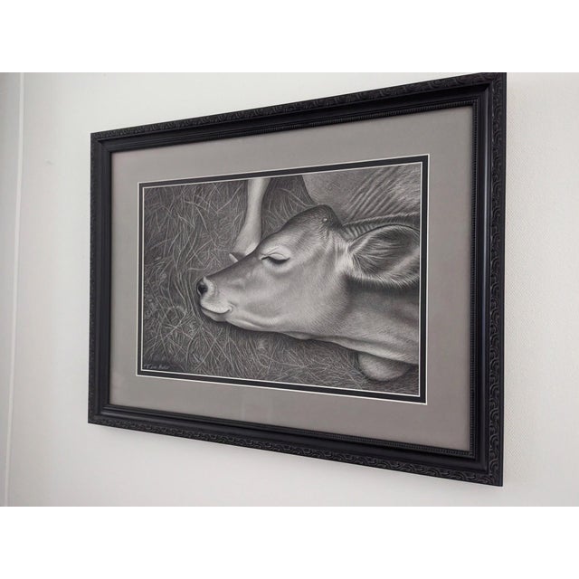 Figurative Sleepyhead by Tammy Liu-Haller | Graphite on Paper of a sleeping cow on grass For Sale - Image 3 of 3