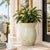 This generously proportioned terracotta planter features a beautifully aged ivory glaze with subtle celadon undertones,...