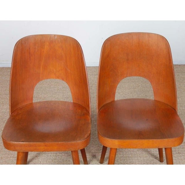1960s Vintage Chairs by Oswald Haerdtl for Ton, 1960, Set of 4 For Sale - Image 5 of 10