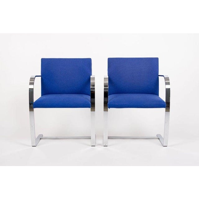 Mid-Century Modern Mid Century Blue Brno Chairs by Mies Van Der Rohe for Knoll, 2006 For Sale - Image 3 of 13