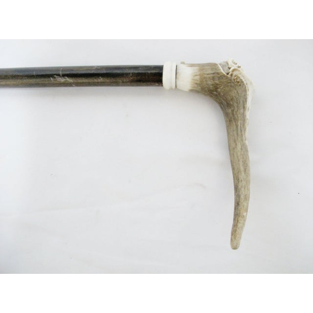 Carved Deer Antler Grim Reaper Face Hidden Blade Folk Art Walking Stick Cane For Sale - Image 12 of 12