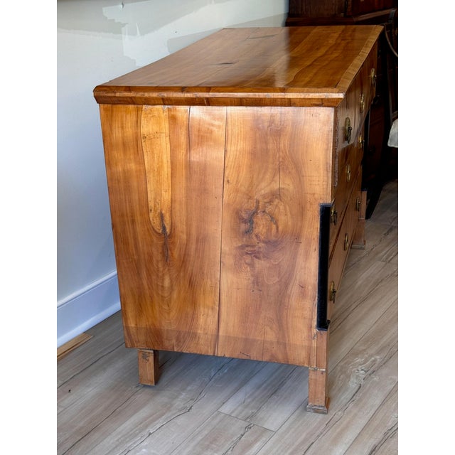 Brown Early 19th Century Biedermeier Commode For Sale - Image 8 of 11