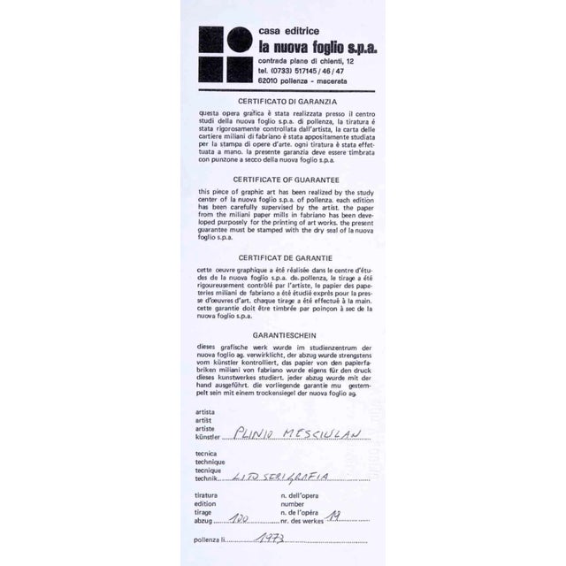 Plinio Mesciulam, Abstract Composition, Original Lithograph, 1973 For Sale