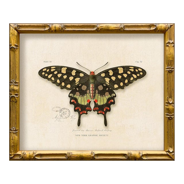 Reproduction Vintage "Garden Friends" Art Print (16), Framed Butterfly For Sale