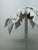 White Vintage Fabric Coconut Palm Tree Sculpture, 1990s For Sale - Image 8 of 18