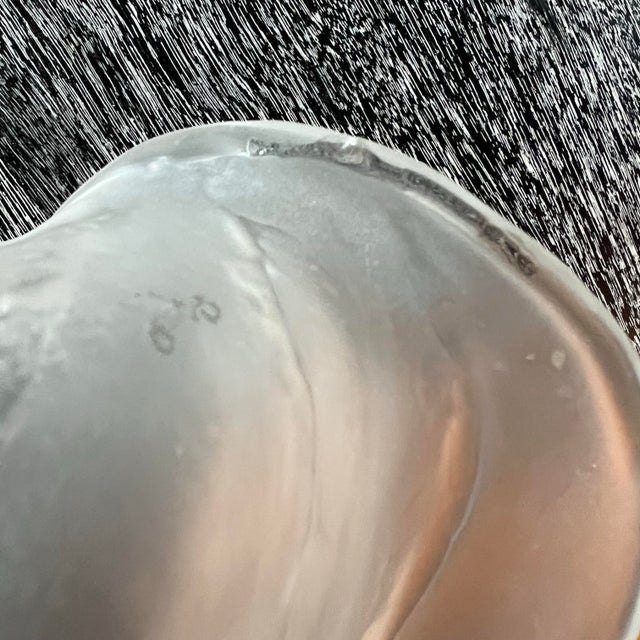 Glass 2000 Art Glass Shell or Leaf Bowl Signed by Nikolas Weinstein For Sale - Image 7 of 11