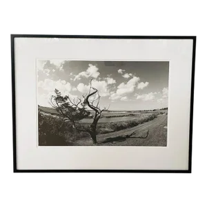 Impressionistic Photography Print of a Tree by Luciana Pampalone, Limited Edition