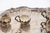 Silver and Glass Cups with Tray, Set of 8, in Good conditions.