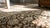 1890s Brown Earth Tone Herati Antique Persian Sultanabad Rug 12' X 15'6" Handknotted Wool Carpet For Sale - Image 10 of 10