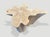 Andrianna Shamaris Amorphous Bleached Teak Wood Coffee Table For Sale - Image 17 of 18