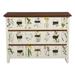 Swedish Modern, Nordens Flora Dresser, Brass, Floral Lithographs, Sweden, 1930s For Sale
