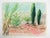 Contemporary Contemporary Desert Green Garden Landscape Drawing For Sale - Image 3 of 3