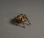 Brass Spider and Fly, 1940s, Set of 2 For Sale - Image 10 of 18