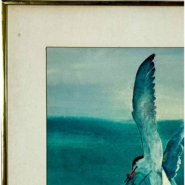 1980s Original 1987 Coastal Watercolor "The Catch" Common Tern Bird Study - Signed C. G. Hurth For Sale - Image 5 of 12