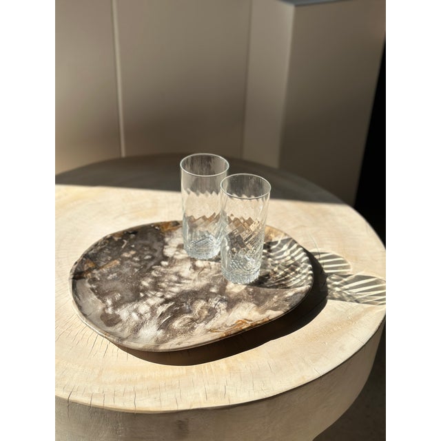 Large Pocket Emptier in Petrified Wood For Sale - Image 18 of 18