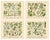 German Botanical Plates, Wildflowers & Medicinal Plants, Stuttgart c.1890 : A visually engaging and scientifically rich...