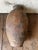 Large Antique Mediterranean Terracotta Olive Jar, 1900 For Sale - Image 9 of 10