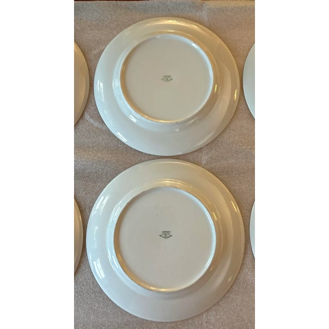 Vintage Haviland Bavaria "Forever Spring" Dinner Plates - S/5 For Sale - Image 9 of 12
