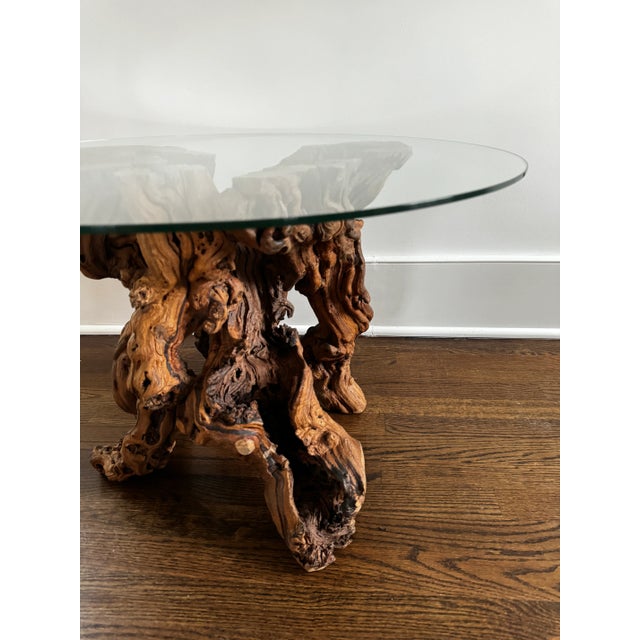 Vintage Burl Root Wood Coffee or Side Table With Glass Top For Sale - Image 9 of 10