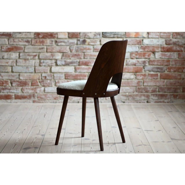 Mid-Century Dining Chairs by Oswald Haerdtl, 1950s, Set of 4 For Sale - Image 9 of 14