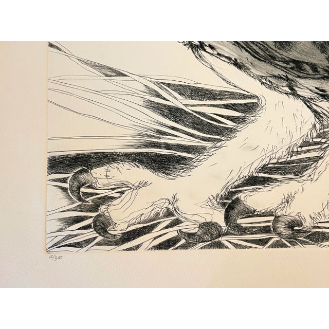 "Short-Eared Owl" Etching by Christine McGinnis, Printed by David Lynch Ca. 1965 For Sale - Image 4 of 7