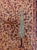 Indian Late 19th Century Agra Rug For Sale - Image 3 of 6