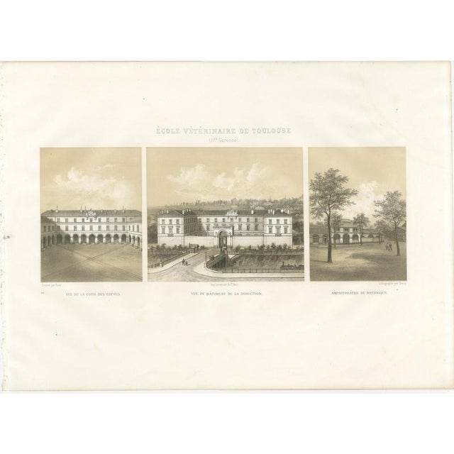 Deroy, Toulouse Veterinary School, Three Views, 1873, Paper For Sale - Image 3 of 12