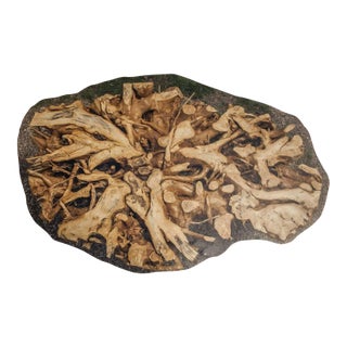 Monumental One-of-a-Kind Sculptural Root Table With Custom Tempered Glass For Sale