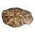 Monumental One-of-a-Kind Sculptural Root Table With Custom Tempered Glass For Sale