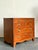 Vintage Boho Chippendale Chest of Drawers For Sale - Image 9 of 9