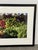 Paper Israel Fruit and Vegetable Market Stand Photograph, Framed For Sale - Image 7 of 12
