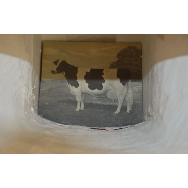 Hand Carved Bull Head With Horns Throne Chair For Sale - Image 10 of 13