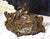 Antique Art Nouveau Metal Dresser Box Casket Lady on Bear Skin Rug For Sale - Image 4 of 18