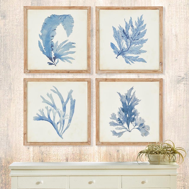 Early 21st Century Framed Coral Watercolor Prints, Set Of 4 For Sale - Image 5 of 6