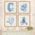 Early 21st Century Framed Coral Watercolor Prints, Set Of 4 For Sale - Image 5 of 6