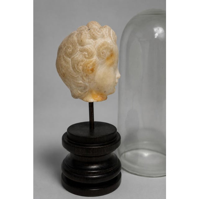Stone 18th C or Earlier, Italian Grand Tour Marble Head of a Young Child W/ Cloche For Sale - Image 7 of 10