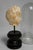 Stone 18th C or Earlier, Italian Grand Tour Marble Head of a Young Child W/ Cloche For Sale - Image 7 of 10