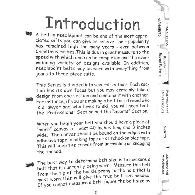 Traditional "The Needlepoint Belt Series" 2003 Scott, Anne Cady For Sale - Image 3 of 14
