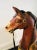 Antique Carved Turn of the Century Carousel Horse For Sale - Image 9 of 11