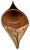 Cinnamon Excellent Large Size Antique Hand Made Maine Indian Tree Bark Canoe Model - 22 Inches Long For Sale - Image 8 of 18