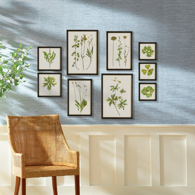 Traditional Foliage Prints, Set Of 9 For Sale - Image 3 of 4